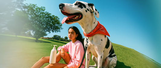 5 Tips for Grooming and Coat Care for Long-Haired Dogs with WildKind