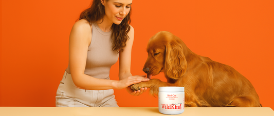 Benefits of Wild Alaskan Salmon Oil for Your Pet