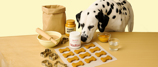 Dog Treat Recipe with Wild Alaskan Salmon Oil