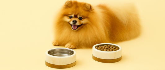 One More Dog Treat Recipe with Wild Alaskan Salmon Oil