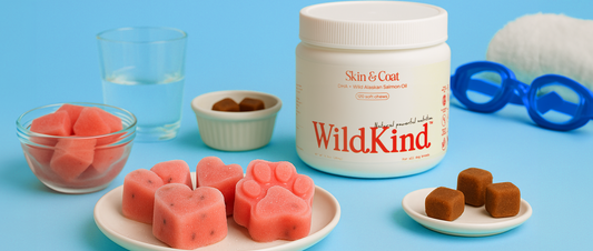 Recipe After a Beach or Pool Day: Hydrating Watermelon and Yogurt Snacks
