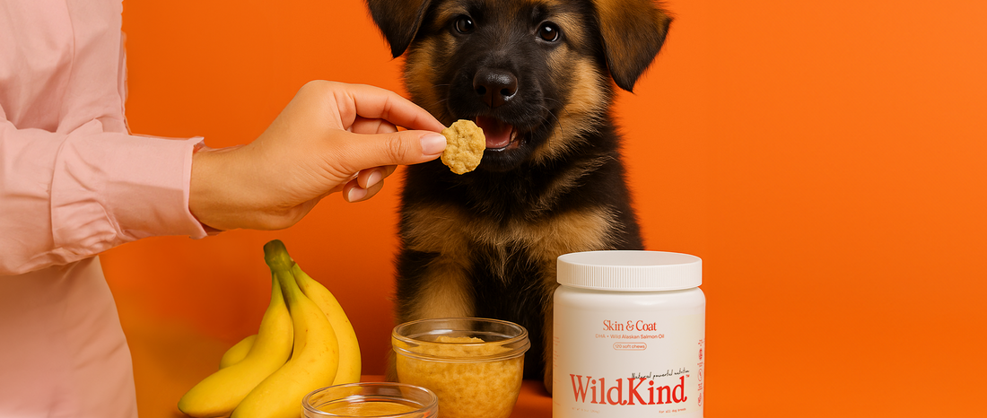 Another Dog Treat Recipe with Wild Alaskan Salmon Oil