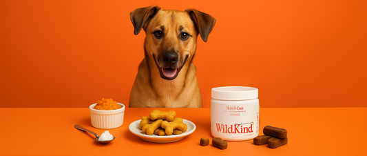 Recipe for Paw Care: Soothing Sweet Potato and Coconut Cookies