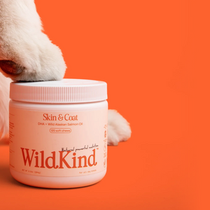 Skin & Coat Soft Chew Pet Supplements