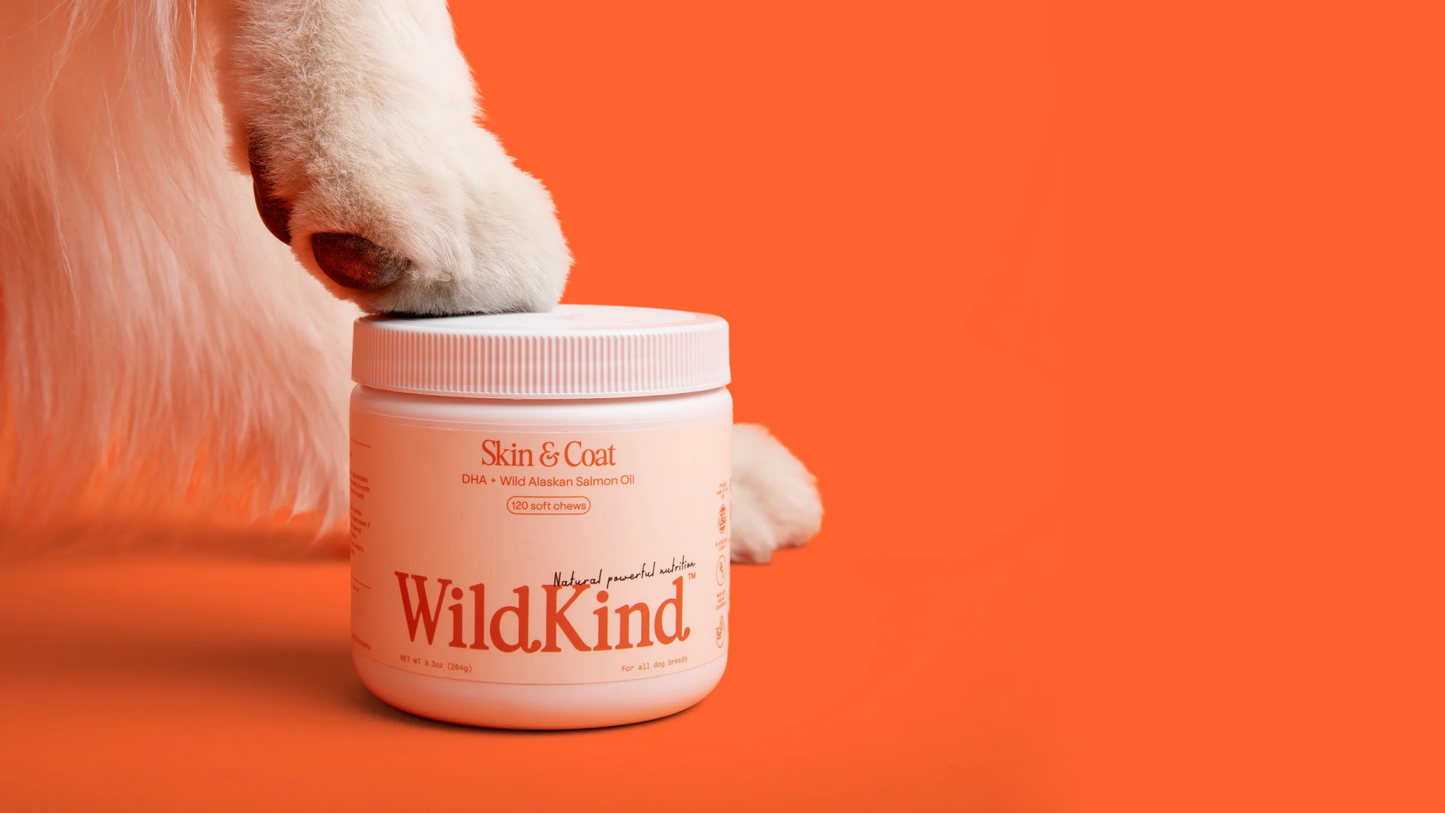 Skin & Coat Soft Chew Pet Supplements