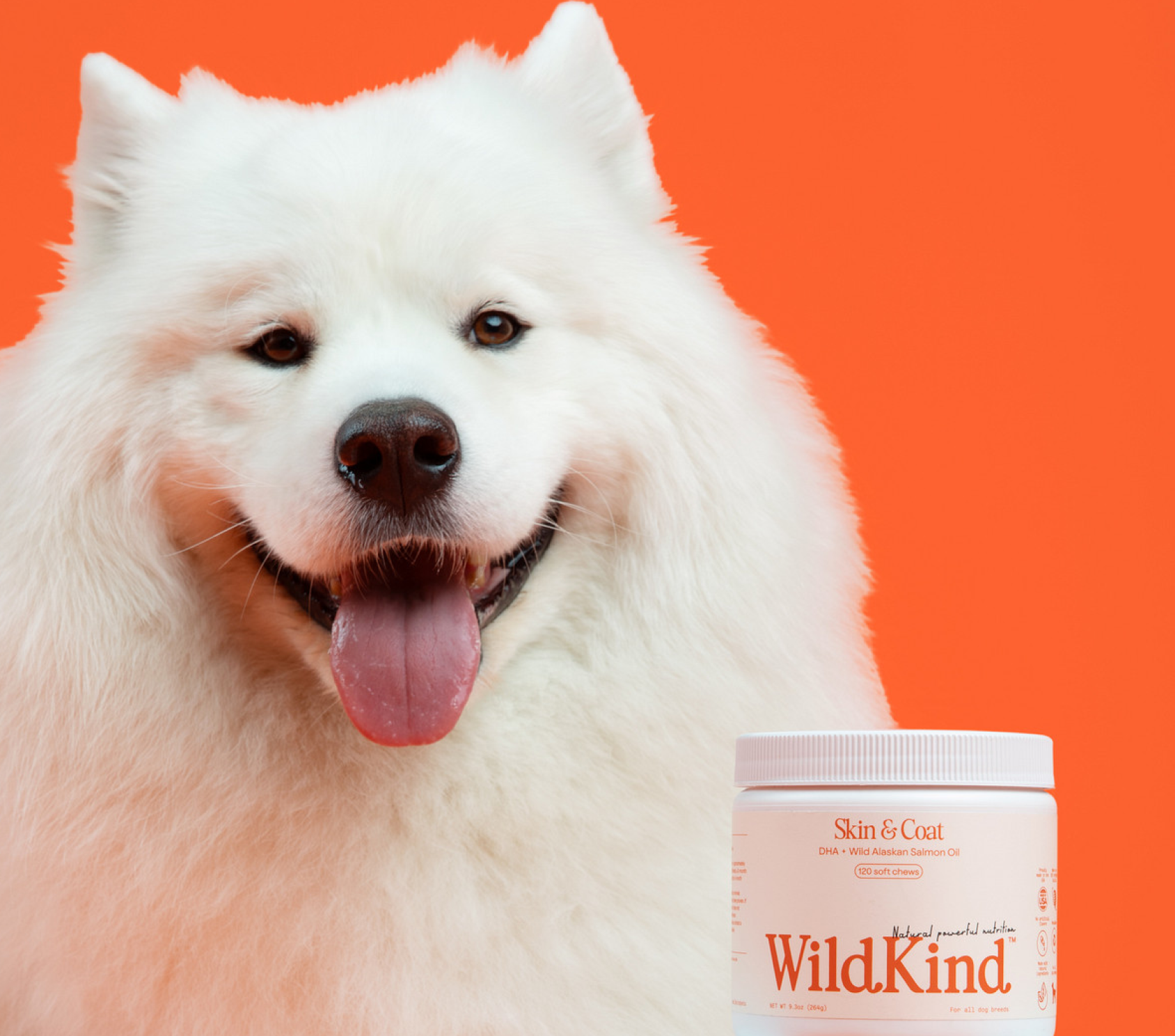 wildkindpets-image-skinandcoat