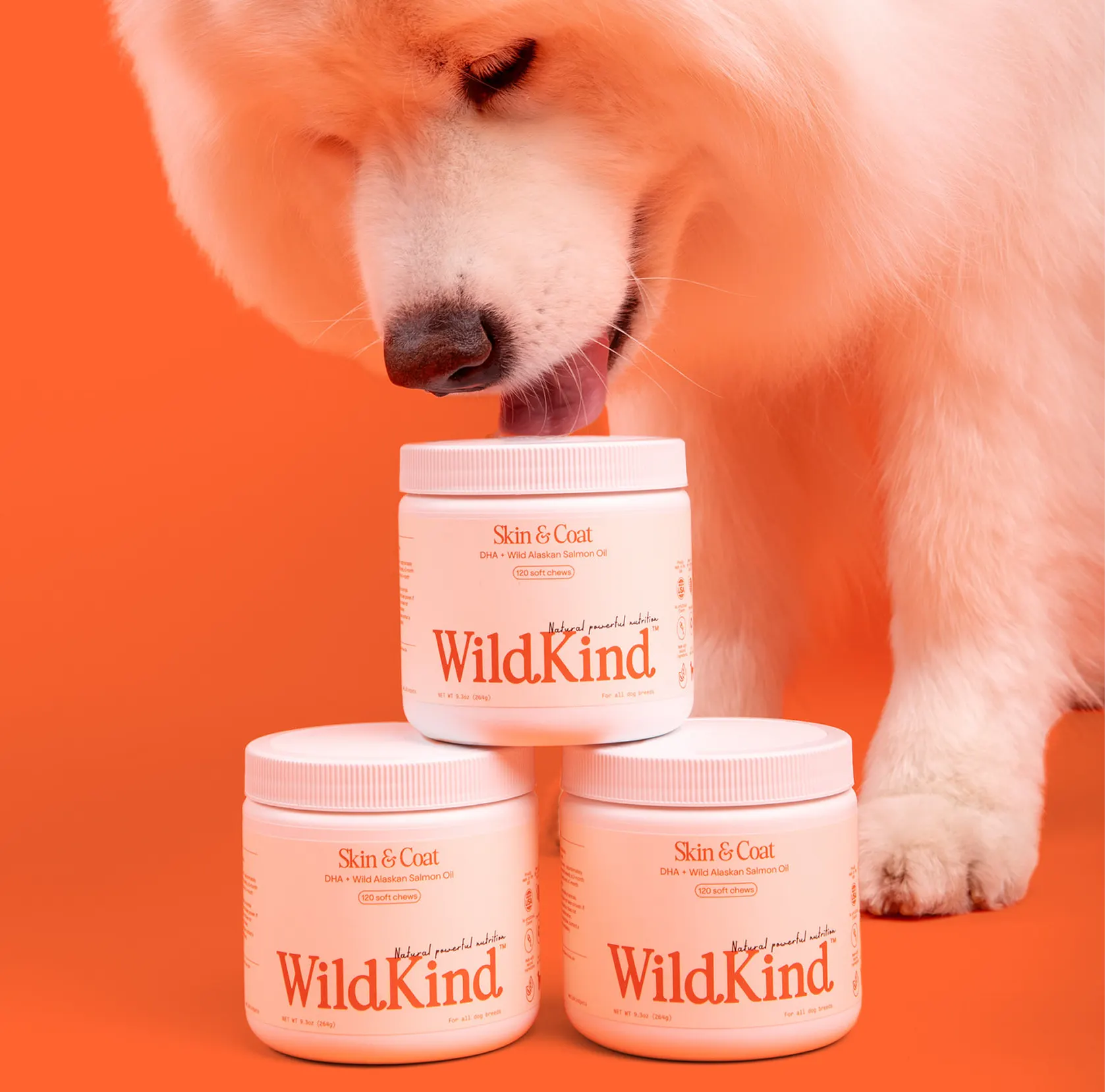 Wildkindpets Dogs